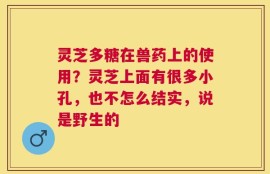 灵芝多糖在兽药上的使用？灵芝上面有很多小孔，也不怎么结实，说是野生的