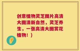创意植物灵芝图片高清大图清新自然，灵芝养生，一张高清大图赏花植物！)