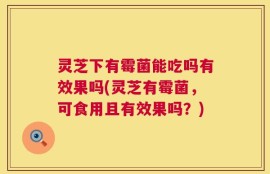 灵芝下有霉菌能吃吗有效果吗(灵芝有霉菌，可食用且有效果吗？)