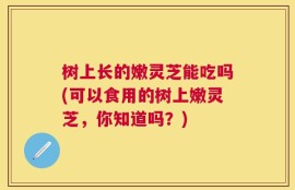 树上长的嫩灵芝能吃吗(可以食用的树上嫩灵芝，你知道吗？)