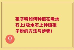 孢子粉如何种植在吸水石上(吸水石上种植孢子粉的方法与步骤)