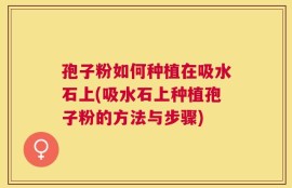 孢子粉如何种植在吸水石上(吸水石上种植孢子粉的方法与步骤)