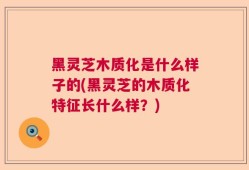 黑灵芝木质化是什么样子的(黑灵芝的木质化特征长什么样？)