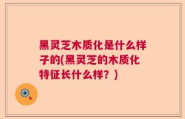 黑灵芝木质化是什么样子的(黑灵芝的木质化特征长什么样？)