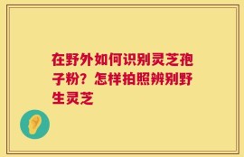 在野外如何识别灵芝孢子粉？怎样拍照辨别野生灵芝