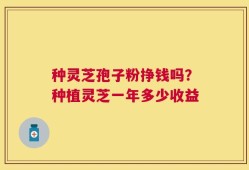 种灵芝孢子粉挣钱吗？种植灵芝一年多少收益