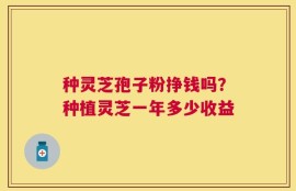 种灵芝孢子粉挣钱吗？种植灵芝一年多少收益