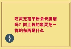 吃灵芝孢子粉会长肌瘤吗？树上长的象灵芝一样的东西是什么