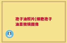 孢子油照片(细胞孢子油显微镜图像