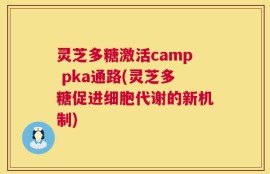 灵芝多糖激活camp pka通路(灵芝多糖促进细胞代谢的新机制)