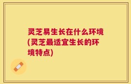 灵芝易生长在什么环境(灵芝最适宜生长的环境特点)