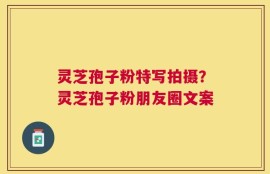 灵芝孢子粉特写拍摄？灵芝孢子粉朋友圈文案