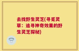 去找野生灵芝(寻觅灵草：追寻神奇效果的野生灵芝探秘)