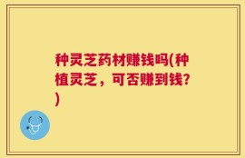 种灵芝药材赚钱吗(种植灵芝，可否赚到钱？)