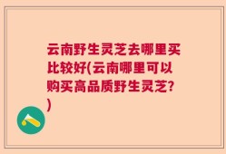云南野生灵芝去哪里买比较好(云南哪里可以购买高品质野生灵芝？)