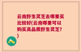 云南野生灵芝去哪里买比较好(云南哪里可以购买高品质野生灵芝？)
