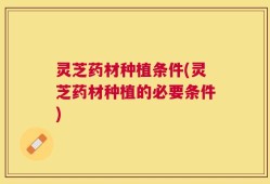 灵芝药材种植条件(灵芝药材种植的必要条件)