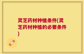 灵芝药材种植条件(灵芝药材种植的必要条件)