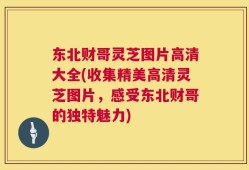 东北财哥灵芝图片高清大全(收集精美高清灵芝图片，感受东北财哥的独特魅力)