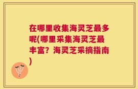 在哪里收集海灵芝最多呢(哪里采集海灵芝最丰富？海灵芝采摘指南)
