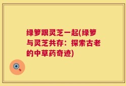 绿箩跟灵芝一起(绿箩与灵芝共存：探索古老的中草药奇迹)