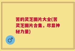 苦的灵芝图片大全(苦灵芝图片合集，尽显神秘力量)