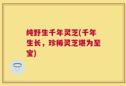 纯野生千年灵芝(千年生长，珍稀灵芝堪为至宝)