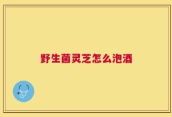 野生菌灵芝怎么泡酒