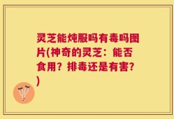 灵芝能炖服吗有毒吗图片(神奇的灵芝：能否食用？排毒还是有害？)