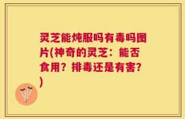 灵芝能炖服吗有毒吗图片(神奇的灵芝：能否食用？排毒还是有害？)
