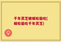 千年灵芝被蜈蚣偷吃(蜈蚣偷吃千年灵芝)