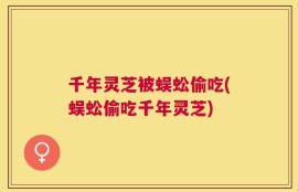 千年灵芝被蜈蚣偷吃(蜈蚣偷吃千年灵芝)