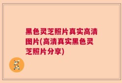 黑色灵芝照片真实高清图片(高清真实黑色灵芝照片分享)