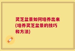 灵芝盆景如何培养出来(培养灵芝盆景的技巧和方法)