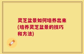 灵芝盆景如何培养出来(培养灵芝盆景的技巧和方法)