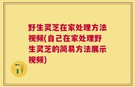 野生灵芝在家处理方法视频(自己在家处理野生灵芝的简易方法展示视频)