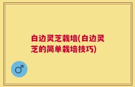 白边灵芝栽培(白边灵芝的简单栽培技巧)