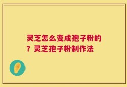 灵芝怎么变成孢子粉的？灵芝孢子粉制作法