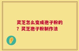 灵芝怎么变成孢子粉的？灵芝孢子粉制作法