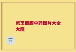 灵芝面膜中药图片大全大图