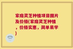家庭灵芝种植项目图片及价格(家庭灵芝种植，价格实惠，简单易学)