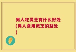男人吃灵芝有什么好处(男人食用灵芝的益处)