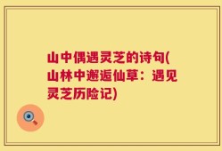 山中偶遇灵芝的诗句(山林中邂逅仙草：遇见灵芝历险记)