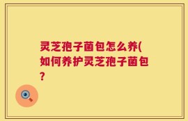 灵芝孢子菌包怎么养(如何养护灵芝孢子菌包？
