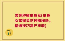 灵芝种植单身女(单身女掌握灵芝种植秘诀，精通技巧高产丰收)