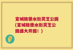 宣城旌德水街灵芝公园(宣城旌德水街灵芝公园盛大开园！)