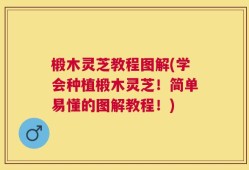 椴木灵芝教程图解(学会种植椴木灵芝！简单易懂的图解教程！)