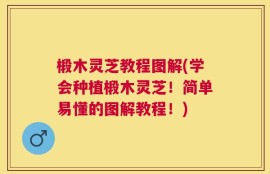 椴木灵芝教程图解(学会种植椴木灵芝！简单易懂的图解教程！)
