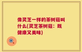 像灵芝一样的茶树菇叫什么(灵芝茶树菇：既健康又美味)