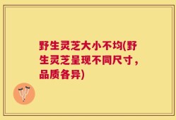 野生灵芝大小不均(野生灵芝呈现不同尺寸，品质各异)